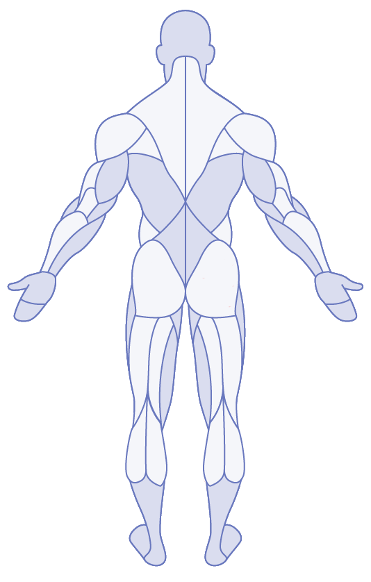 Human Body Image