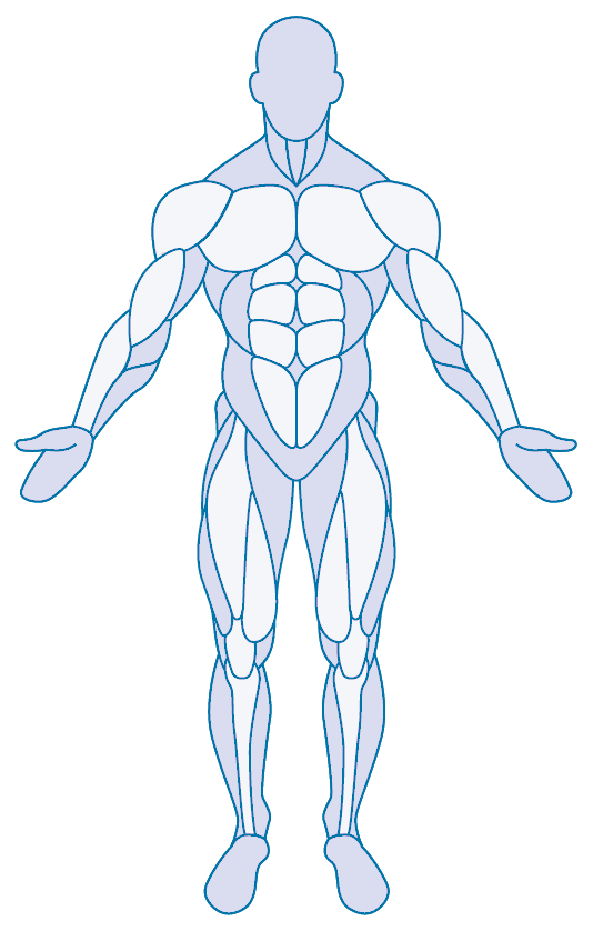 Human Body Image